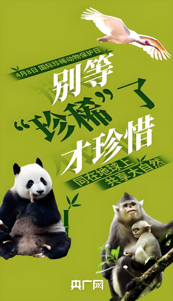从《温柔的女教师》看当代师生关系的构建